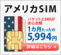 アメリカSIMカード １カ月たったの5,994円で、パケットとSMSが安心定額